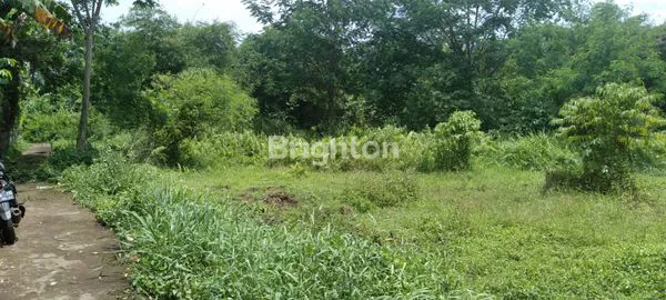 image TANAH STRATEGIS DITENGAH KOTA BOGOR (7)