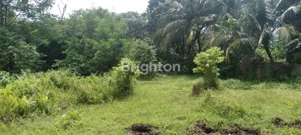 image TANAH STRATEGIS DITENGAH KOTA BOGOR (8)