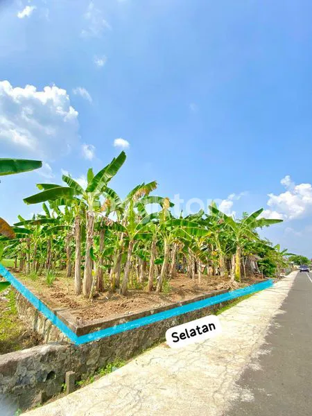 image TANAH SHM PUSAT BISNIS SUKOHARJO (2)