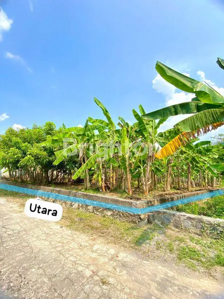 image TANAH SHM PUSAT BISNIS SUKOHARJO (3)