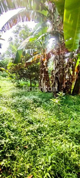 image DIJUAL TANAH STRATEGIS DI TIPAR MEKARSARI (7)