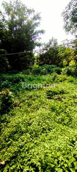 image DIJUAL TANAH STRATEGIS DI TIPAR MEKARSARI (4)