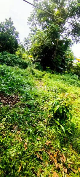 image DIJUAL TANAH STRATEGIS DI TIPAR MEKARSARI (8)