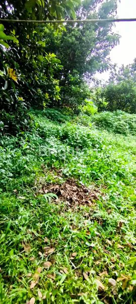 image DIJUAL TANAH STRATEGIS DI TIPAR MEKARSARI (6)