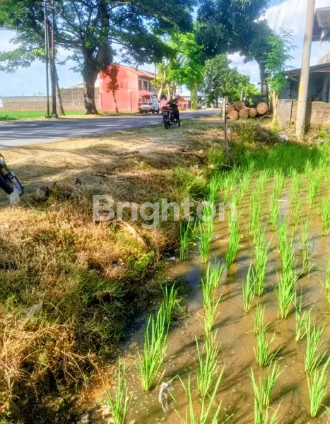 image TANAH SHM 2460M² DI SUKOHARJO, DEKAT PABRIK & PERKANTORAN (1)