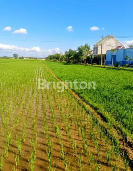 image TANAH SHM 2460M² DI SUKOHARJO, DEKAT PABRIK & PERKANTORAN (3)