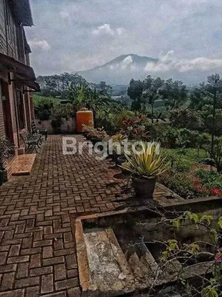 image DI JUAL CEPAT VILLA PLUS PERKEBUNAN  (2)