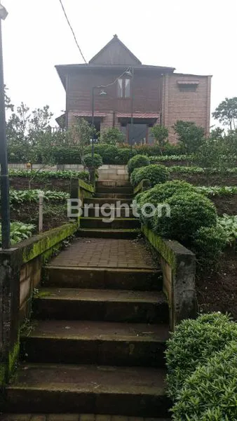 image DI JUAL CEPAT VILLA PLUS PERKEBUNAN  (6)