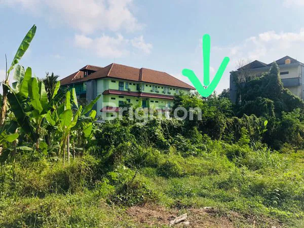 image JUAL TANAH - TABANAN (8)