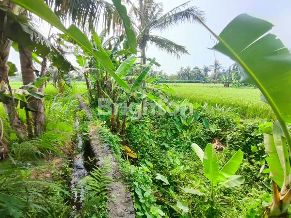 image TANAH KAVLING - GIANYAR (1)