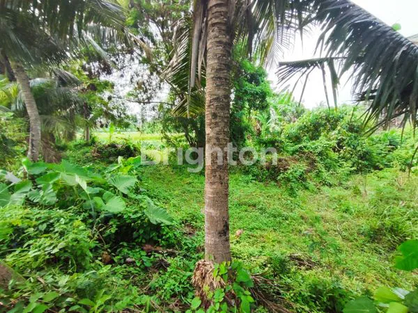 image TANAH KAVLING - GIANYAR (2)