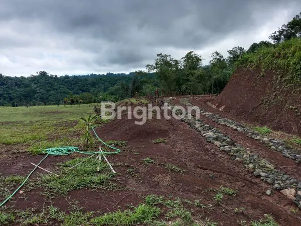 image THE THRONE LAND, KAVLING KEBUN DI WONGAYA GEDE, PENEBEL, TABANAN, BALI  (1)