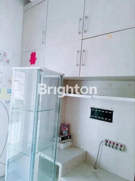 image GOLDEN PALM (5)