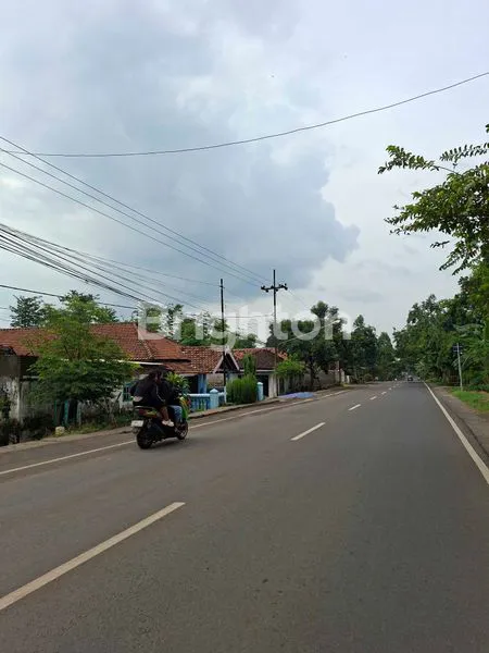 image TANAH LUAS SIAP BANGUN - PASREPAN, PASURUAN (2)