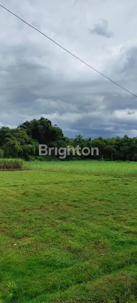 image DIJUAL TANAH LUAS AREA WAJAK KABUPATEN MALANG (2)