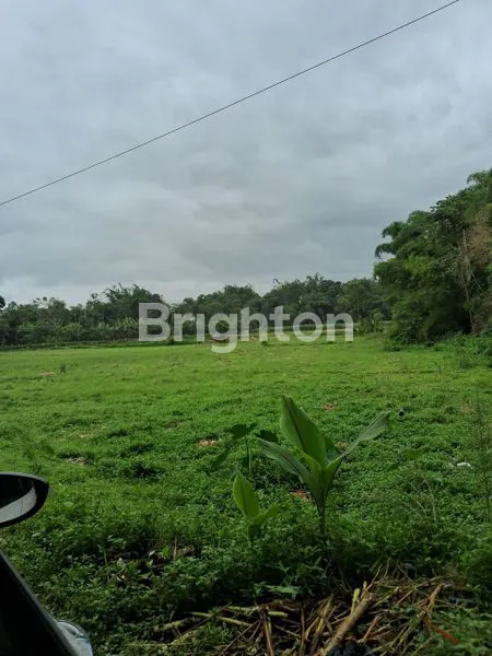 image DIJUAL TANAH LUAS AREA WAJAK KABUPATEN MALANG (4)