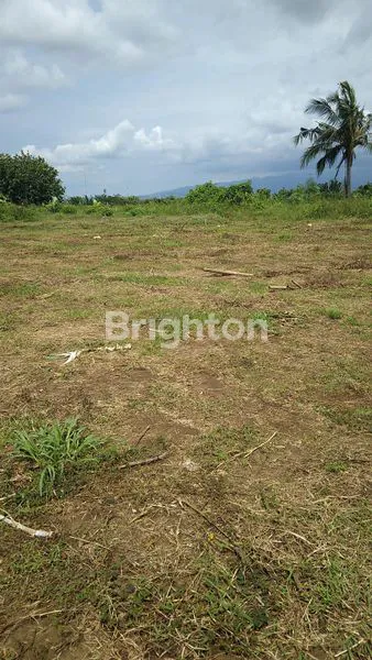 image KAVLING PROSPEKTIF STRATEGIS DEKAT KAMPUS UIN,UB,UNISMA,UNIGA & TAMAN  SINGHA KOTA MALANG (2)