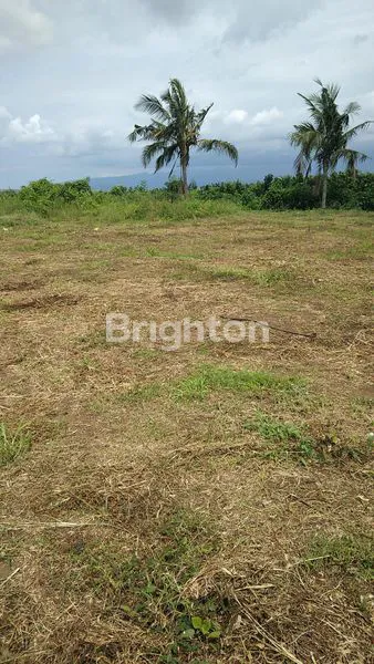 image KAVLING PROSPEKTIF STRATEGIS DEKAT KAMPUS UIN,UB,UNISMA,UNIGA & TAMAN  SINGHA KOTA MALANG (3)