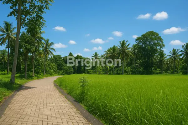 LAHAN SEJUK ASRI COCOK UTK VILLA DAN INVESTASI M² | ITR KUNING | AKSES BAGUS