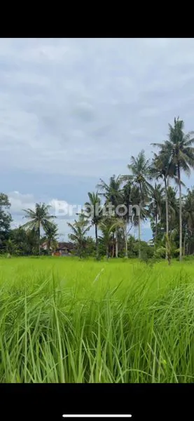 image LAHAN SEJUK ASRI COCOK UTK VILLA DAN INVESTASI M² | ITR KUNING | AKSES BAGUS (3)