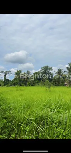 image LAHAN SEJUK ASRI COCOK UTK VILLA DAN INVESTASI M² | ITR KUNING | AKSES BAGUS (4)