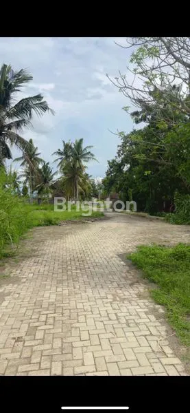 image LAHAN SEJUK ASRI COCOK UTK VILLA DAN INVESTASI M² | ITR KUNING | AKSES BAGUS (5)