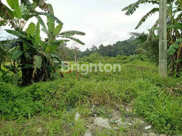 image DIJUAL MURAH LAHAN LUAS SIAP BANGUN DI RING ROAD  SAMARINDA (7)