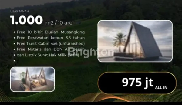 image WISDOM LAND KEBUN DUREN ADALAH PROYEK KAVLING KEBUN DURIAN PREMIUM DI KAWASAN PENEBEL, TABANAN. PROYEK INI MENGGABUNGKAN NILAI ESTETIKA ALAM BALI, PELUANG AGRIBISNIS, DAN POTENSI WISATA DALAM SATU LAHAN INVESTASI. (4)