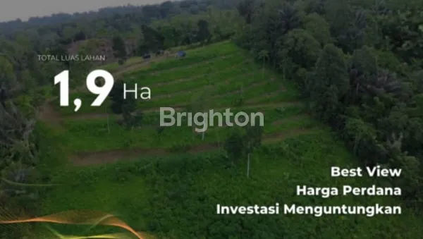 image WISDOM LAND KEBUN DUREN ADALAH PROYEK KAVLING KEBUN DURIAN PREMIUM DI KAWASAN PENEBEL, TABANAN. PROYEK INI MENGGABUNGKAN NILAI ESTETIKA ALAM BALI, PELUANG AGRIBISNIS, DAN POTENSI WISATA DALAM SATU LAHAN INVESTASI. (6)