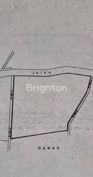 image PEKARANGAN PAKEM VIEW GUNUNG MERAPI (2)