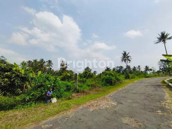 image PEKARANGAN PAKEM VIEW GUNUNG MERAPI (4)