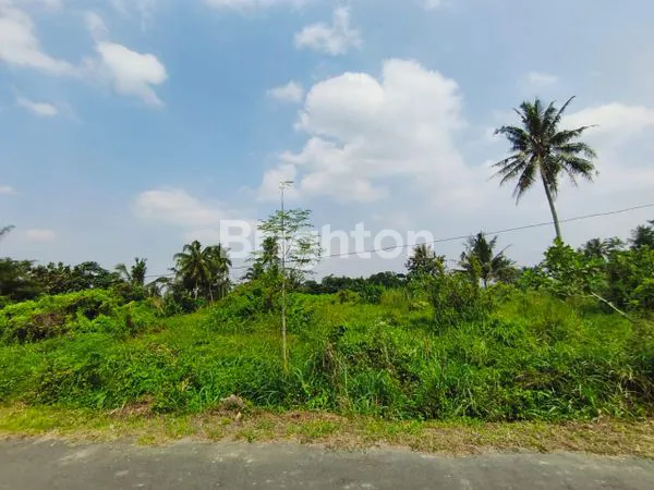 image PEKARANGAN PAKEM VIEW GUNUNG MERAPI (6)