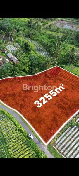 image PEKARANGAN PAKEM VIEW GUNUNG MERAPI (1)