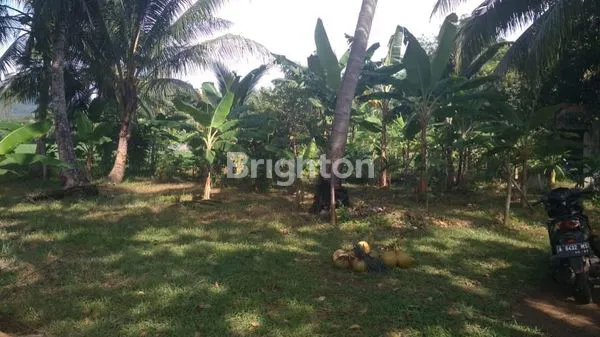 image TANAH STRATEGIS CARITA, COCOK UNTUK RESORT & HOTEL (1)