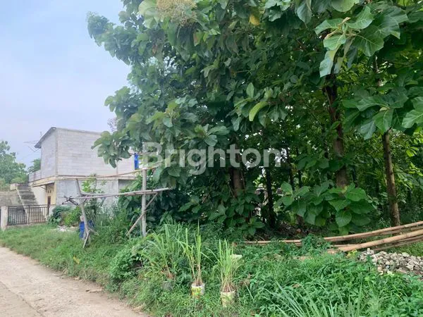 image TANAH BONUS POHON JATI MATENG DI NANGGEWER CIBINONG BOGOR (6)
