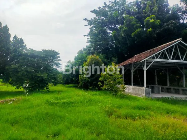 image GUDANG EX PABRIK SIAP PAKAI MANGKANG TUGU SEMARANG KENDAL (8)