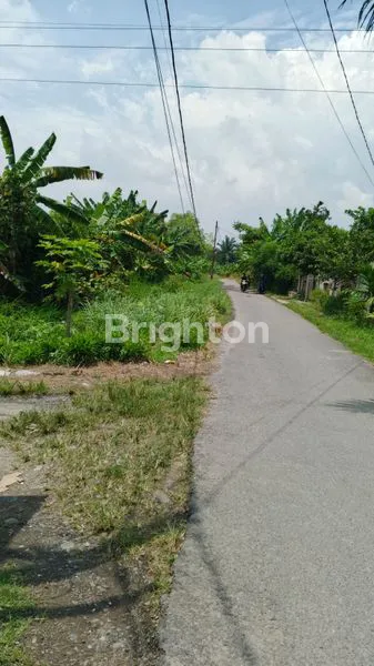 image TANAH LUAS 6000M² DI MEDAN LABUHAN (4)
