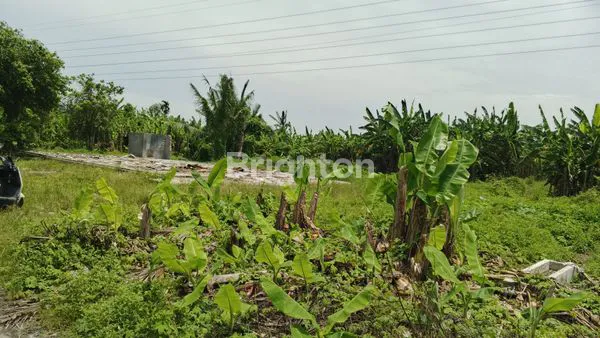 image TANAH LUAS 6000M² DI MEDAN LABUHAN (6)