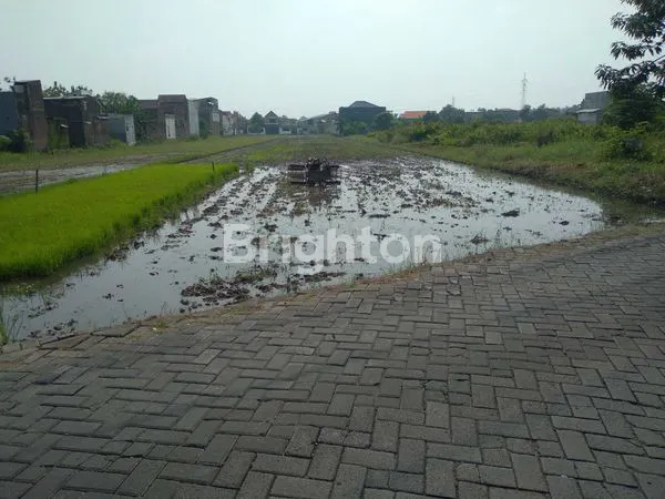 image DI JUAL TANAH AREA GEDANGAN (2)