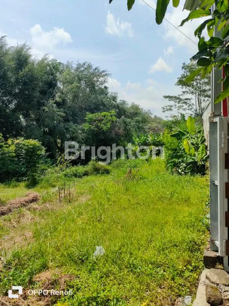 image LAHAN SUBUR DI TEMANGGUNG (2)