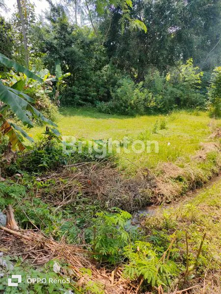 image LAHAN SUBUR DI TEMANGGUNG (4)