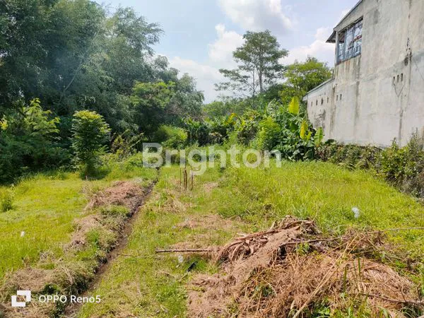 image LAHAN SUBUR DI TEMANGGUNG (3)