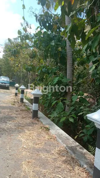 image LAHAN 339M² DI BANTUL, AKSES MUDAH KE YIA (1)