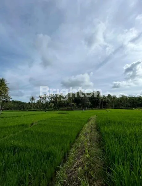 image TANAH PINGGIR JALAN PROVINSI DI JAMPANG KULON, SUKABUMI, JAWA BARAT  (4)
