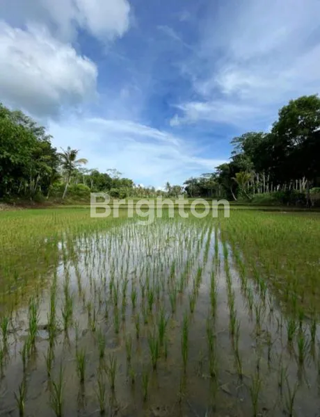 image TANAH PINGGIR JALAN PROVINSI DI JAMPANG KULON, SUKABUMI, JAWA BARAT  (6)