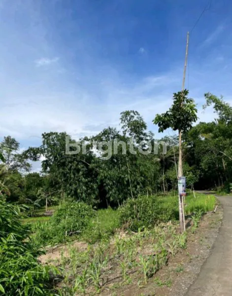 image TANAH PINGGIR JALAN PROVINSI DI JAMPANG KULON, SUKABUMI, JAWA BARAT  (5)