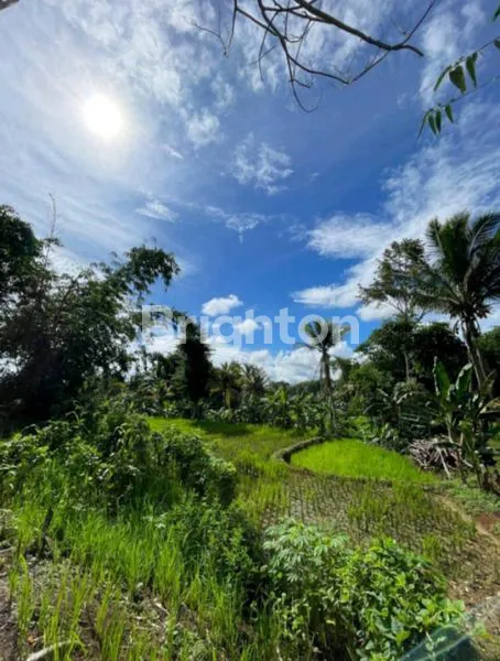 image TANAH PINGGIR JALAN PROVINSI DI JAMPANG KULON, SUKABUMI, JAWA BARAT  (2)