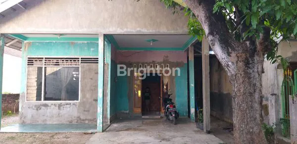 image DIJUAL RUMAH DAN TANAH  (7)