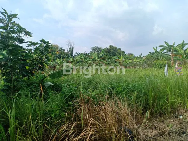 image TANAH KOSONG DI PUCANG GADING (6)