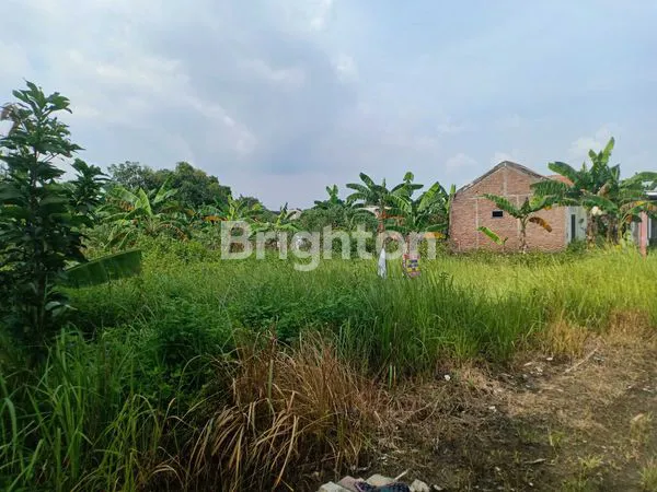 image TANAH KOSONG DI PUCANG GADING (3)